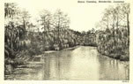 Bayou Gardens
