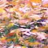Golden Japanese Cherry Blossom Leaves